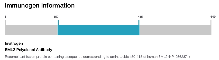 EML2 Polyclonal Antibody