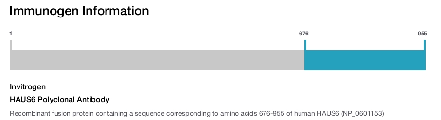 HAUS6 Polyclonal Antibody
