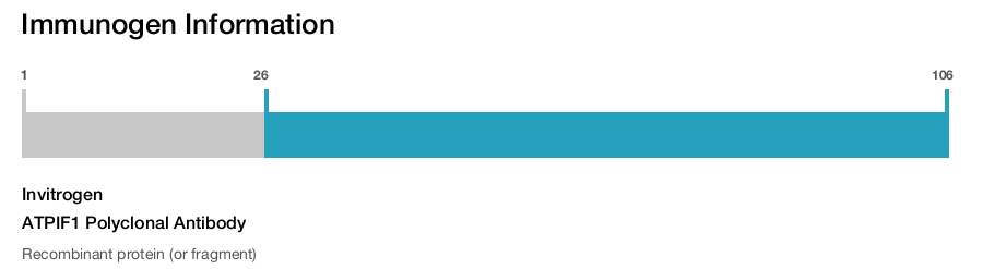 ATPIF1 Polyclonal Antibody