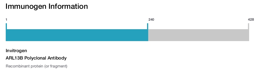 ARL13B Polyclonal Antibody