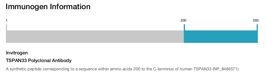 TSPAN33 Polyclonal Antibody