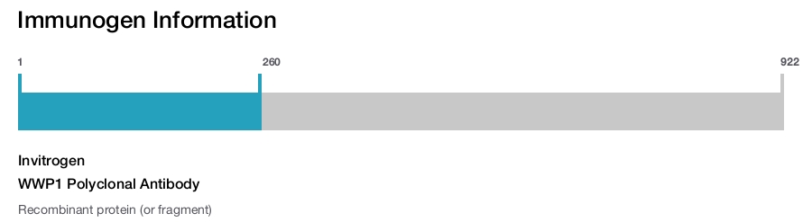 WWP1 Polyclonal Antibody