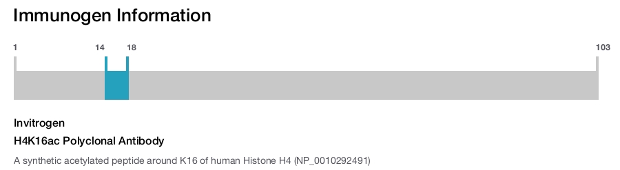 H4K16ac Polyclonal Antibody