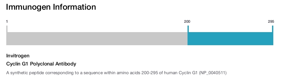 Cyclin G1 Polyclonal Antibody