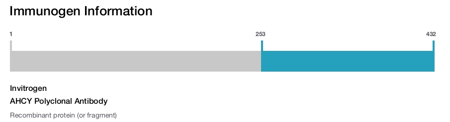 AHCY Polyclonal Antibody