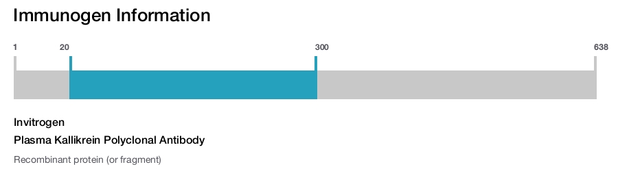 Plasma Kallikrein Polyclonal Antibody