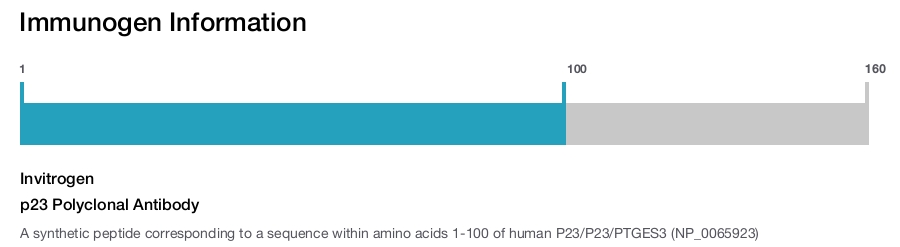 p23 Polyclonal Antibody