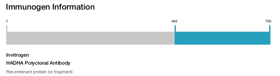HADHA Polyclonal Antibody