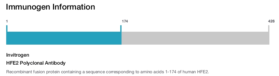 HFE2 Polyclonal Antibody