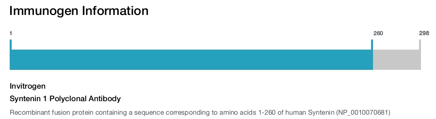 Syntenin 1 Polyclonal Antibody