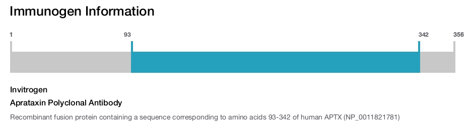 Aprataxin Polyclonal Antibody