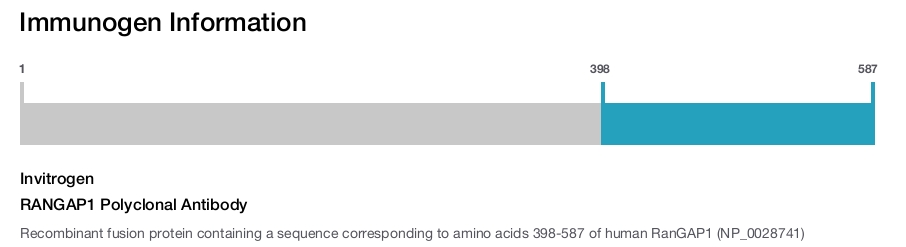 RANGAP1 Polyclonal Antibody