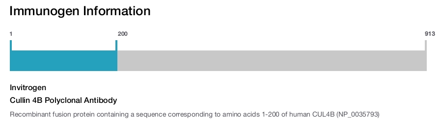 Cullin 4B Polyclonal Antibody