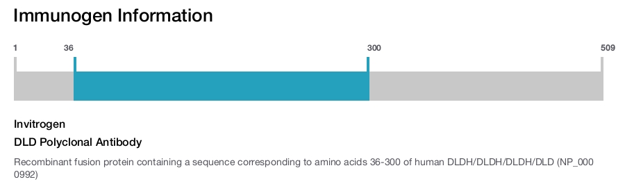 DLD Polyclonal Antibody