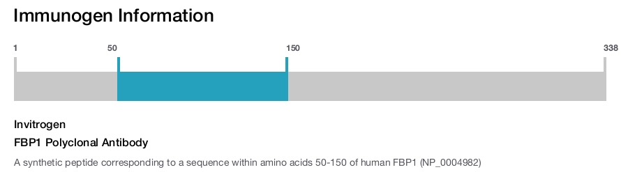 FBP1 Polyclonal Antibody