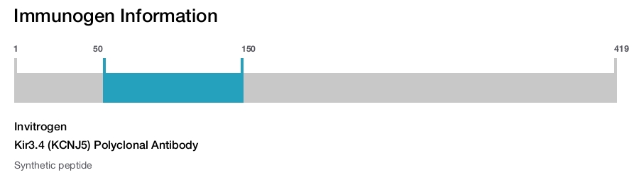 Kir3.4 (KCNJ5) Polyclonal Antibody