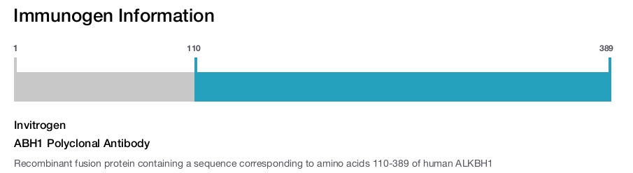 ABH1 Polyclonal Antibody
