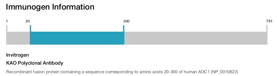 KAO Polyclonal Antibody