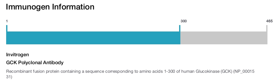 GCK Polyclonal Antibody