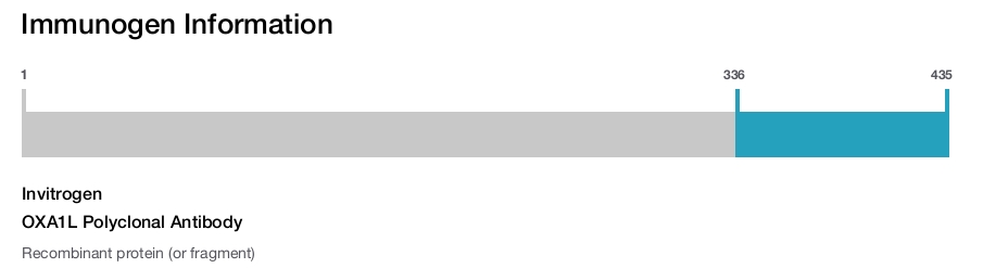 OXA1L Polyclonal Antibody