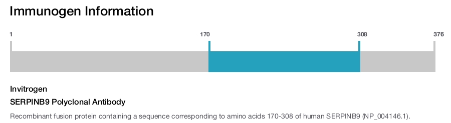 SERPINB9 Polyclonal Antibody