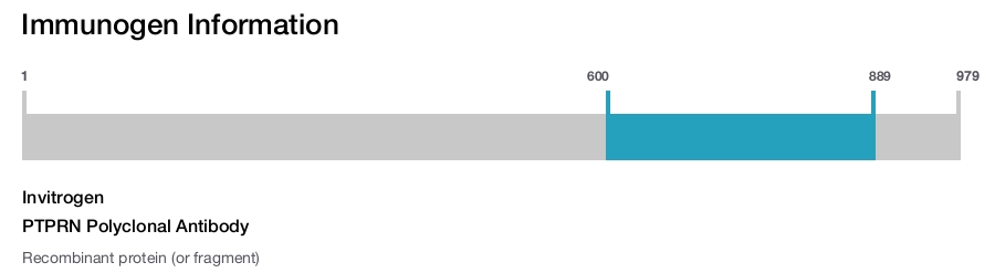 PTPRN Polyclonal Antibody