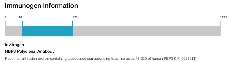 RBP3 Polyclonal Antibody