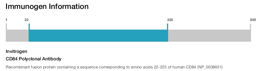CD84 Polyclonal Antibody