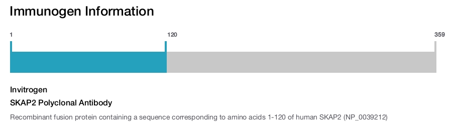 SKAP2 Polyclonal Antibody