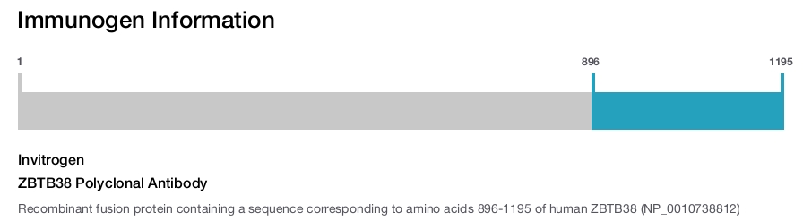ZBTB38 Polyclonal Antibody