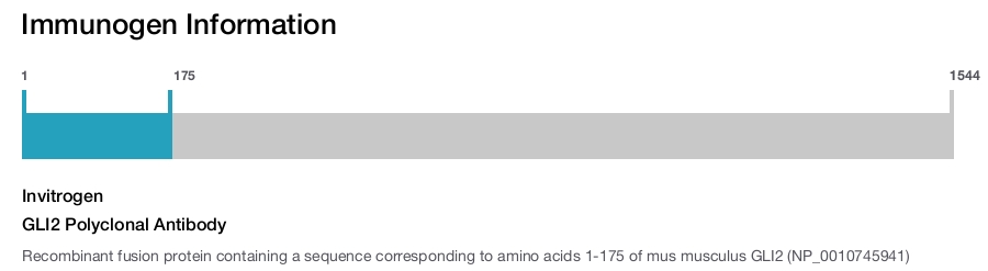 GLI2 Polyclonal Antibody