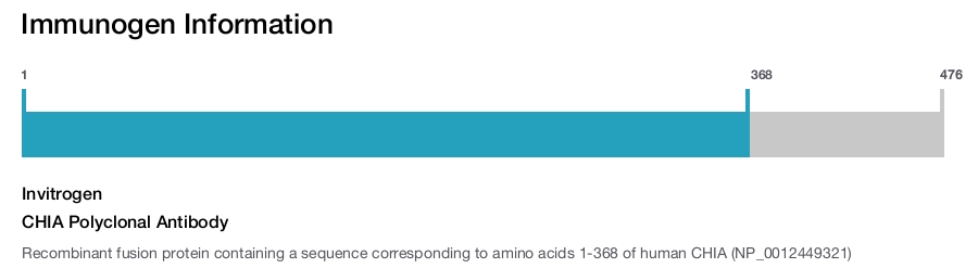 CHIA Polyclonal Antibody