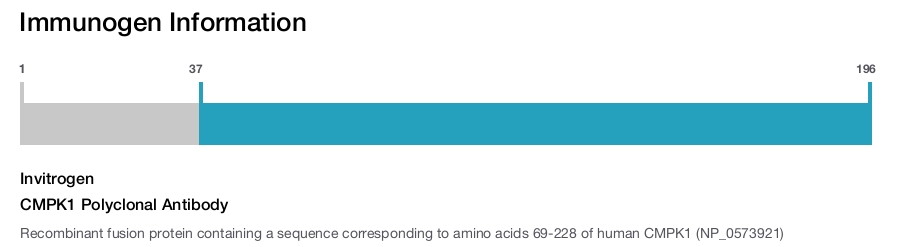CMPK1 Polyclonal Antibody