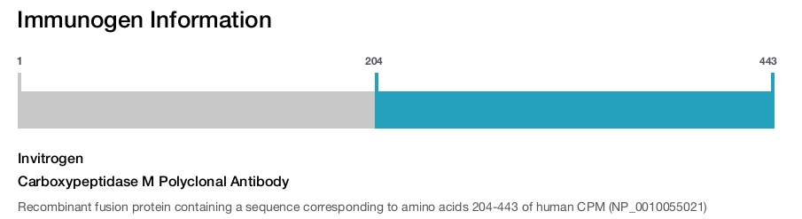 Carboxypeptidase M Polyclonal Antibody