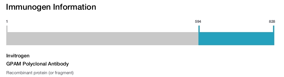 GPAM Polyclonal Antibody