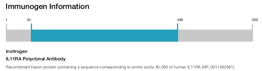 IL11RA Polyclonal Antibody