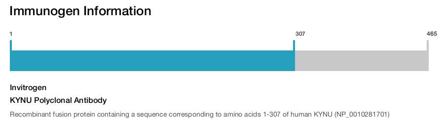 KYNU Polyclonal Antibody
