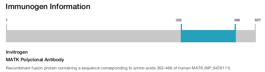MATK Polyclonal Antibody