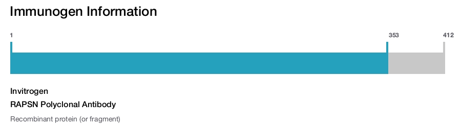RAPSN Polyclonal Antibody
