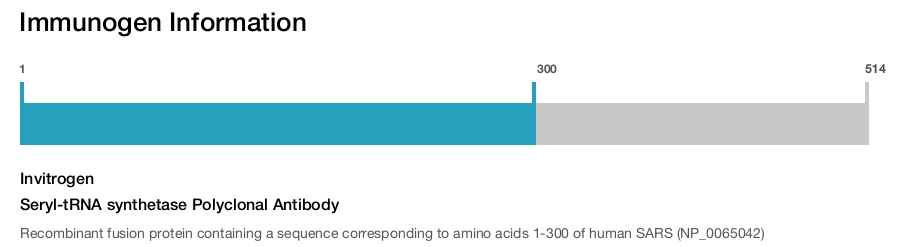 Seryl-tRNA synthetase Polyclonal Antibody