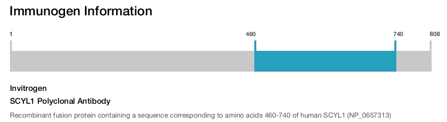 SCYL1 Polyclonal Antibody