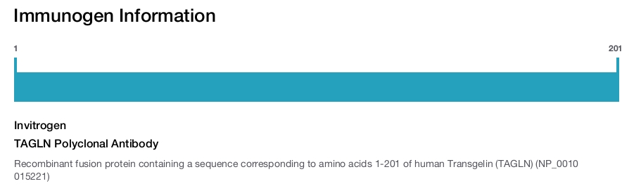TAGLN Polyclonal Antibody