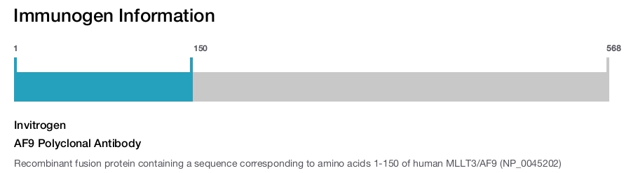 AF9 Polyclonal Antibody