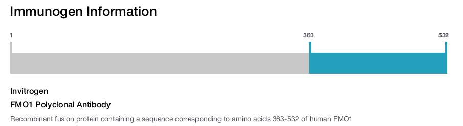 FMO1 Polyclonal Antibody