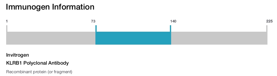 KLRB1 Polyclonal Antibody