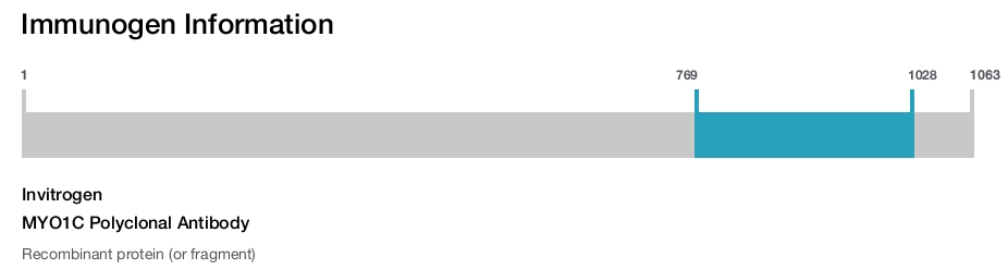 MYO1C Polyclonal Antibody