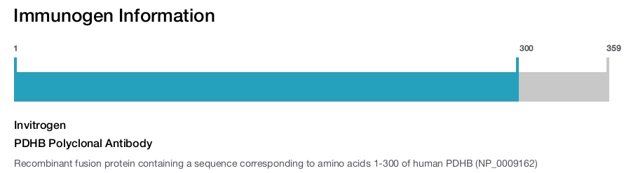 PDHB Polyclonal Antibody