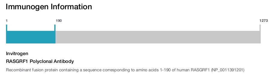 RASGRF1 Polyclonal Antibody