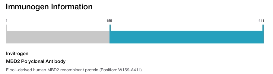 MBD2 Polyclonal Antibody