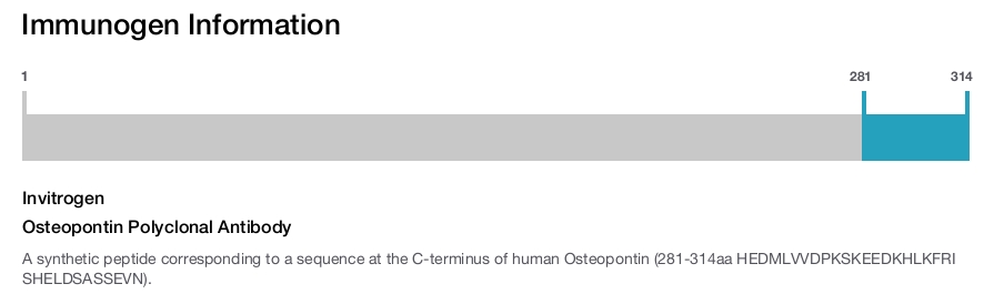 Osteopontin Polyclonal Antibody